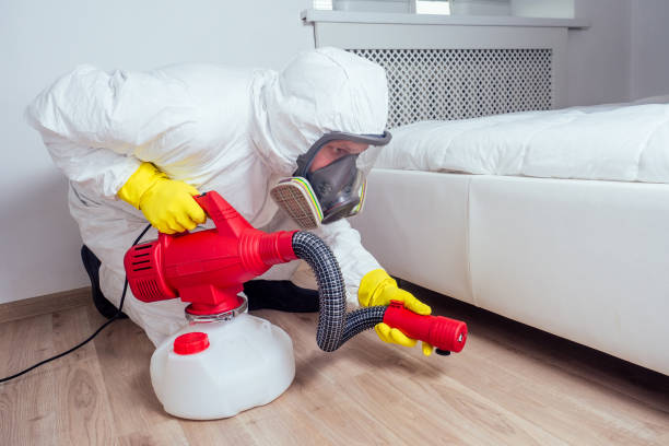 Best Insect Control  in Opelousas, LA